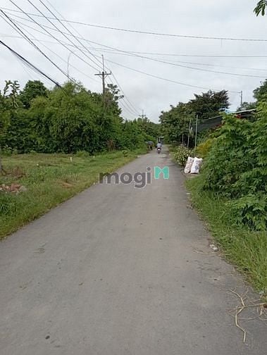 Hình ảnh Đất thổ cư Mặt Tiền đường nhựa – Tân Thạnh Đông, Củ Chi