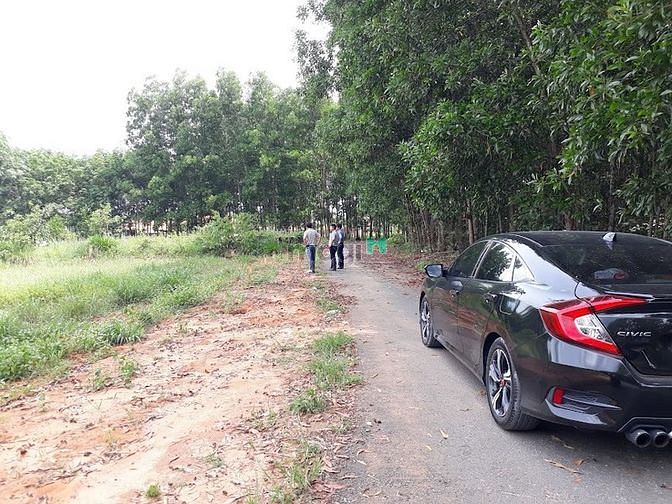 Hình ảnh Bán đất thổ cư, mặt tiền. 6km đến sây bay long thành, 2tỷ8.