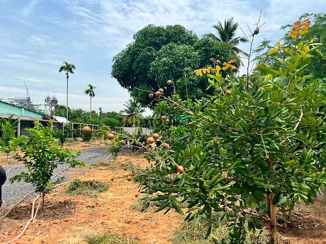 Hình ảnh Đất vườn, thổ cư gần sông sinh thái mát mẻ, liền kề Vành Đai 3