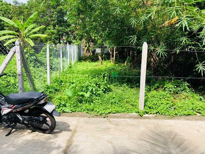Hình ảnh bán đất mặt tiền bình nhâm 61 - đường xe tải tới đất
