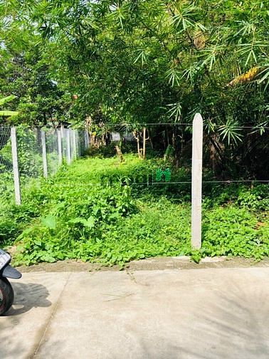 Hình ảnh bán đất mặt tiền bình nhâm 61 - đường xe tải tới đất