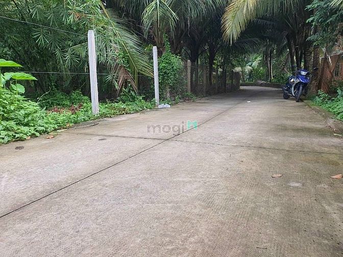 Hình ảnh bán đất mặt tiền bình nhâm 61 - đường xe tải tới đất