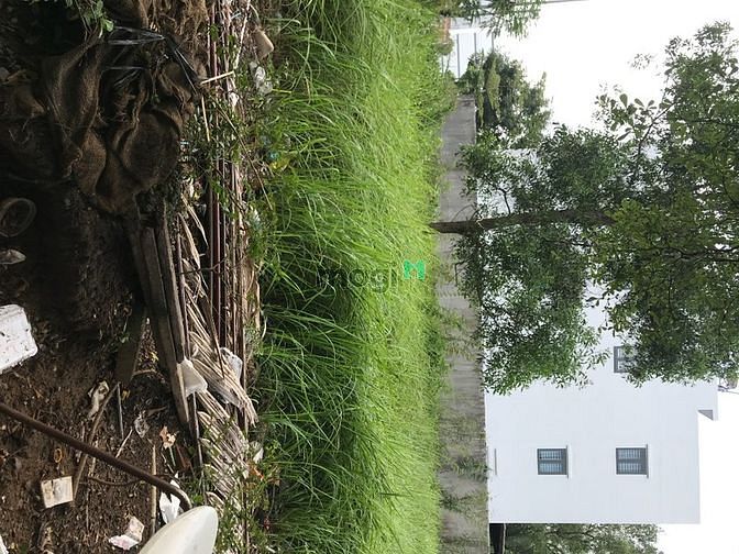 Hình ảnh Bán Đất 9x20, SHR KDC đường Đào Sư Tích, Phước Kiển