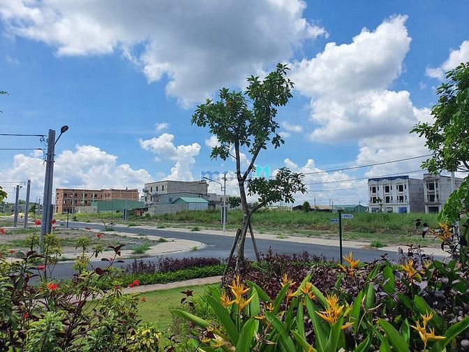 Hình ảnh Cần Bán Gấp Lô Đất Để Đi Nước Ngoài Định Cư - o9o1234437