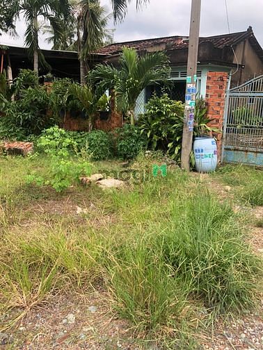 Hình ảnh Bán 1.000m2 Đất Mặt Tiền Đường Bến Than Xã Hòa Phú Củ Chi