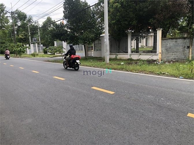 Hình ảnh Đất Lớn Đẹp 3 Mặt Tiền 8.500m2 Đường Bà Thiên Nhuận Đức Củ Chi