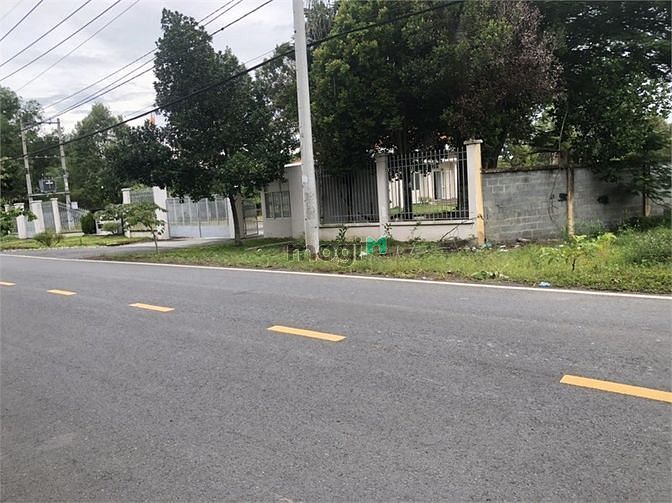 Hình ảnh Đất Lớn Đẹp 3 Mặt Tiền 8.500m2 Đường Bà Thiên Nhuận Đức Củ Chi