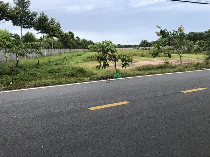 Hình ảnh Đất Lớn Đẹp 3 Mặt Tiền 8.500m2 Đường Bà Thiên Nhuận Đức Củ Chi