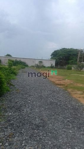 Hình ảnh Đất ngang 10m bên hông cổng KCN Phước Đông 1.2 tỷ