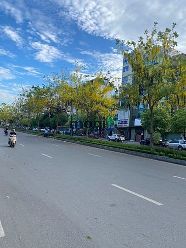 Hình ảnh Phân Lô Nguyễn Văn Huyên - Xây Biệt Thự, Văn Phòng, 230m2, MT 10m