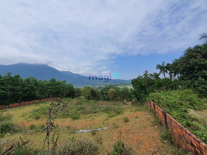 Hình ảnh Bán đất Ba Vì. DT 1.129M2. mặt tiền lớn, view đẹp. Giá chỉ 3,xtr/1m2