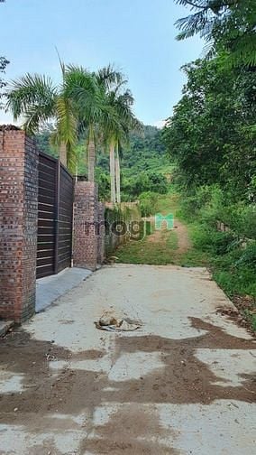 Hình ảnh Bán đất Ba Vì. DT 1.129M2. mặt tiền lớn, view đẹp. Giá chỉ 3,xtr/1m2