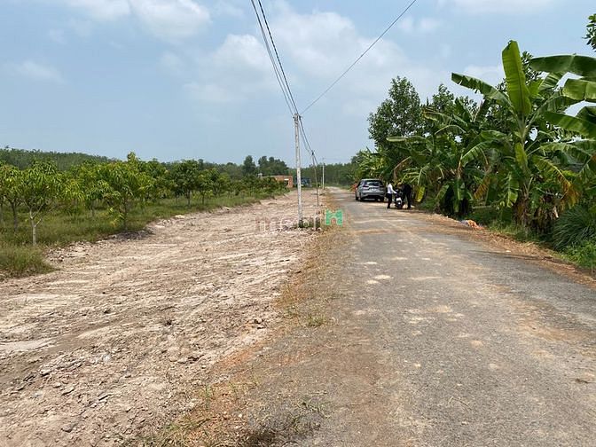 Hình ảnh Đất Full thổ cư, Tân Bình, Tây Ninh
