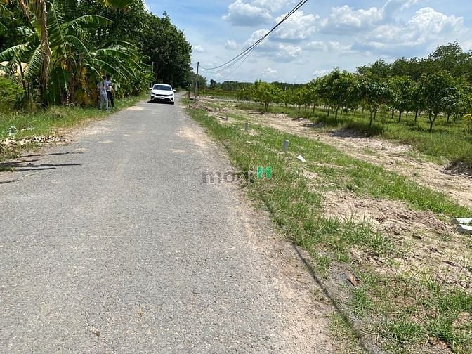 Hình ảnh Đất Full thổ cư, Tân Bình, Tây Ninh