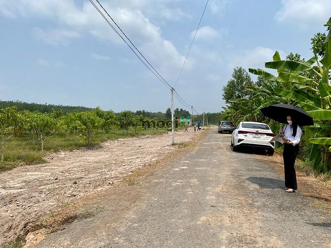 Hình ảnh Đất Full thổ cư, Tân Bình, Tây Ninh