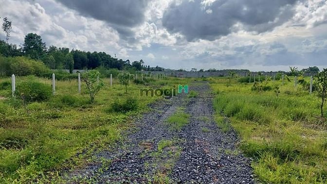 Hình ảnh Đất Tân Phú Trung Củ Chi Đường 8m- ngang 17m 81m -1330m2-Chỉ 7 Tỷ 850