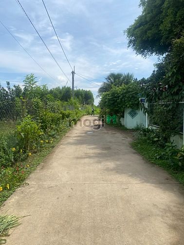 Hình ảnh Cần bán đất nền hương Lộ 7 vị trí đẹp