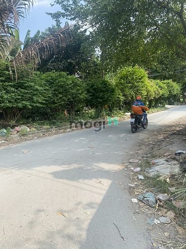 Hình ảnh 🏘️ Cần bán gấp lô đất - An Phú Đông- Quận 12 - 250 m2 - giá 9.3 tỷ.