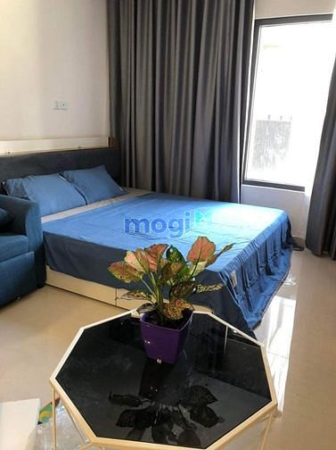 Hình ảnh Bán căn studio - vinhomes ocean park