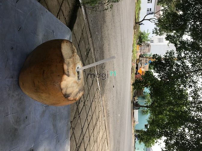 Hình ảnh Bán đất thổ cư SHR 5.5x17m, xây dựng tự do, Nhơn Đức Nhà Bè