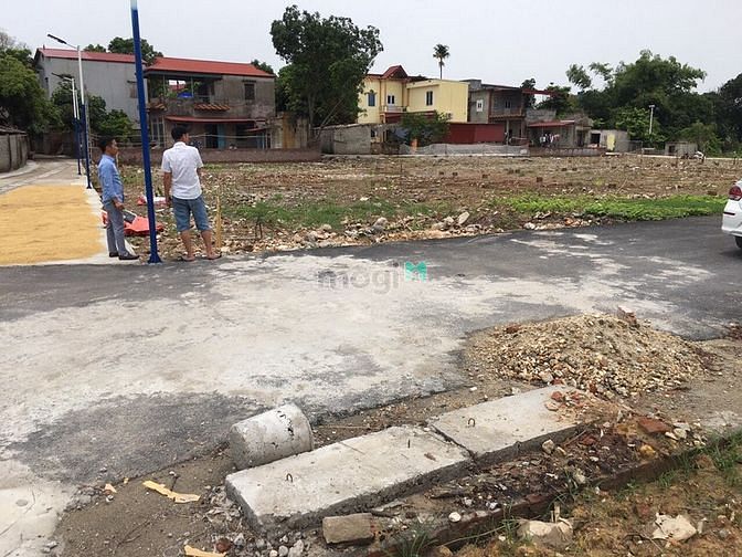 Hình ảnh Bom tấn sắp tới: Mua đất tặng vàng