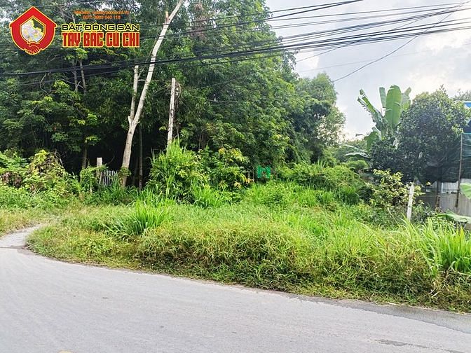 Hình ảnh Bán đất 2 mặt tiền đường Bến Đình - 500m2 - 10x50 - 120m2 thổ cư