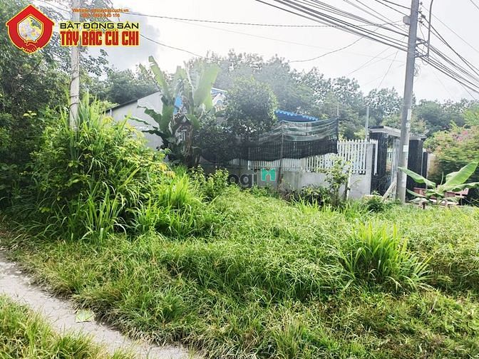 Hình ảnh Bán đất 2 mặt tiền đường Bến Đình - 500m2 - 10x50 - 120m2 thổ cư