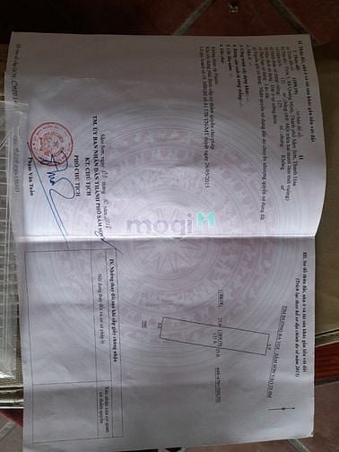 Hình ảnh Cần tiền bán gấp lô đất nền sổ đỏ MB 41 Quảng Minh - Sầm Sơn T Hoá