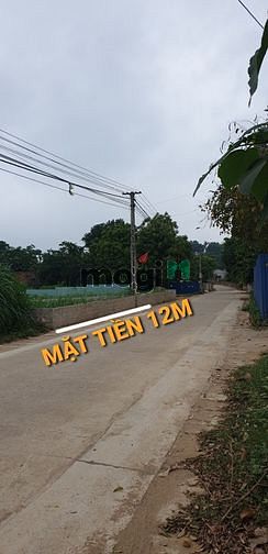 Hình ảnh Cần bán GẤP đất Ba Vì - Làn 2 TL87 - 12m mặt tiền bám trục chính