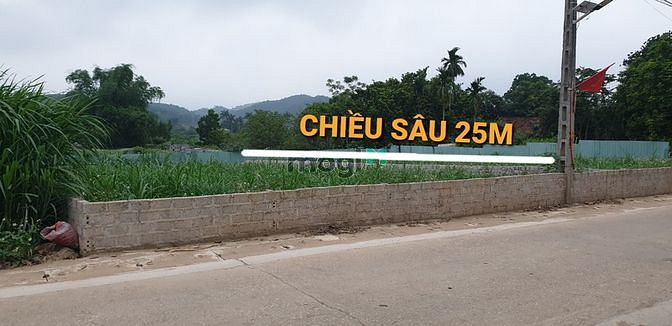 Hình ảnh Cần bán GẤP đất Ba Vì - Làn 2 TL87 - 12m mặt tiền bám trục chính