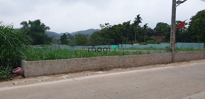 Hình ảnh Cần bán GẤP đất Ba Vì - Làn 2 TL87 - 12m mặt tiền bám trục chính