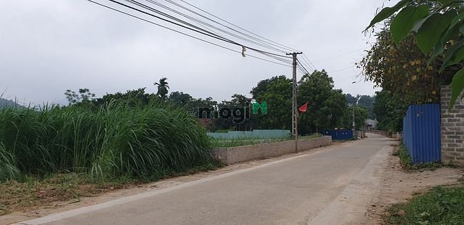 Hình ảnh Cần bán GẤP đất Ba Vì - Làn 2 TL87 - 12m mặt tiền bám trục chính