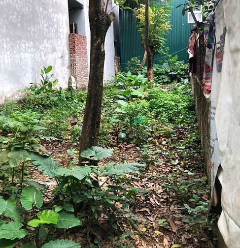 Hình ảnh Đất Phú Diễn, 73m2, ô tô 30m. Xây ccmn hái ra tiền