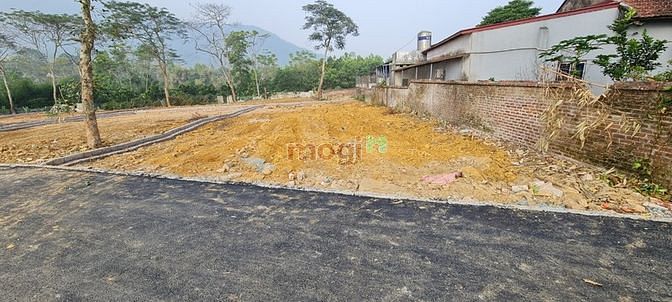 Hình ảnh Bán gấp cắt lỗ 316m2 tại Yên Bình, Thạch Thất( khu HÒA LẠC)