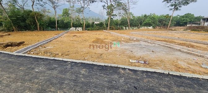 Hình ảnh Bán gấp cắt lỗ 316m2 tại Yên Bình, Thạch Thất( khu HÒA LẠC)