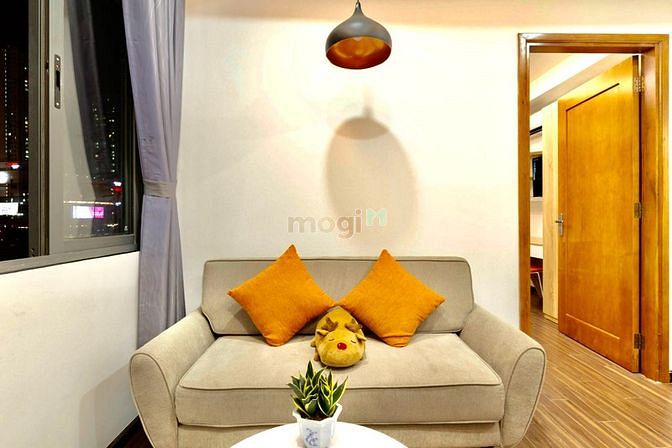 Hình ảnh 1PN Trang Bị Đầy Đủ Nội Thất Cho Nuôi PETS Ở Quận 2