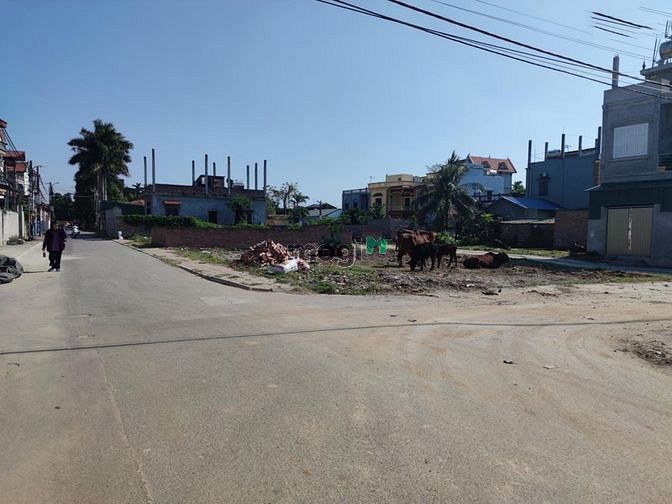 Hình ảnh Bán 77.5m2 đất đấu giá thôn Cổ Giang, Lệ Chi, giá chỉ 32 tr/m2.