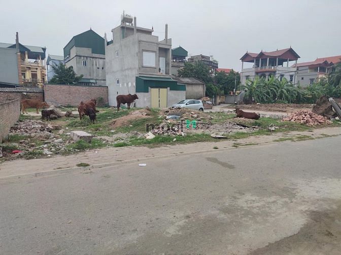 Hình ảnh Bán 77.5m2 đất đấu giá thôn Cổ Giang, Lệ Chi, giá chỉ 32 tr/m2.