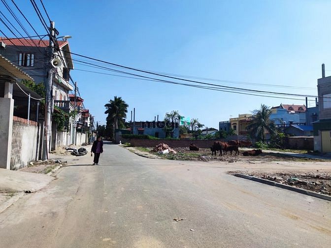 Hình ảnh Bán 77.5m2 đất đấu giá thôn Cổ Giang, Lệ Chi, giá chỉ 32 tr/m2.