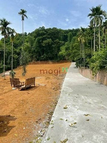 Hình ảnh CẦN BÁN  1548m2 đất nghỉ dưỡng Yên Bình, Thạch Thất( đô thị Hòa Lạc)
