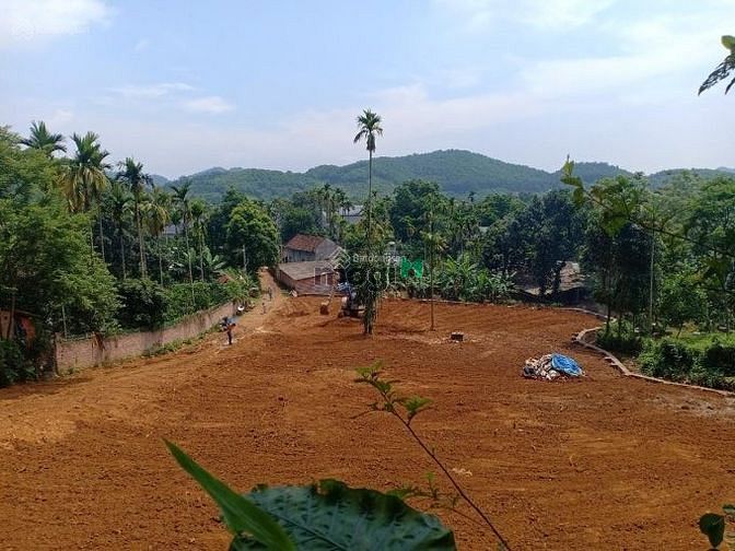 Hình ảnh CẦN BÁN  1548m2 đất nghỉ dưỡng Yên Bình, Thạch Thất( đô thị Hòa Lạc)