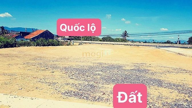 Hình ảnh Siêu phẩm đất nền Ninh Hòa giá rẻ sập sàn