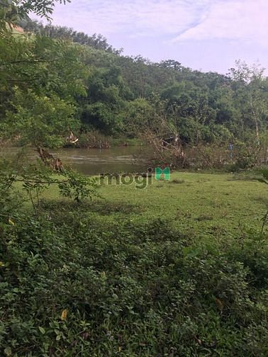 Hình ảnh Bán đất rộng Bắc Cạn giáp Thái Nguyên