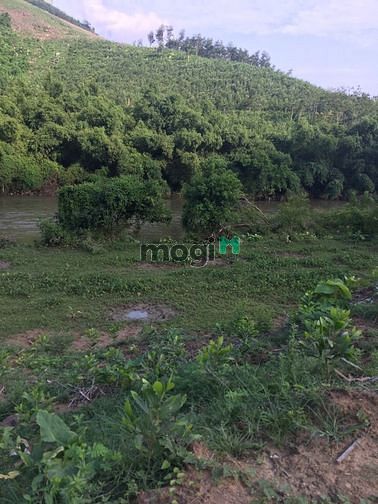 Hình ảnh Bán đất rộng Bắc Cạn giáp Thái Nguyên