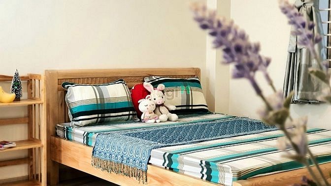 Hình ảnh Sở hữu ngay phòng thoáng mát - có cửa sổ - sân sau- giếng trời