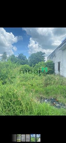 Hình ảnh Đất Bán 660m2 Full Thổ Cư cách DT833 900m Sổ Hiển Thị Đường 4m