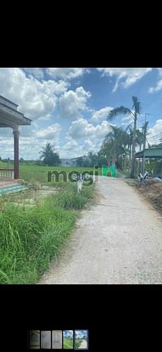 Hình ảnh Đất Bán 660m2 Full Thổ Cư cách DT833 900m Sổ Hiển Thị Đường 4m