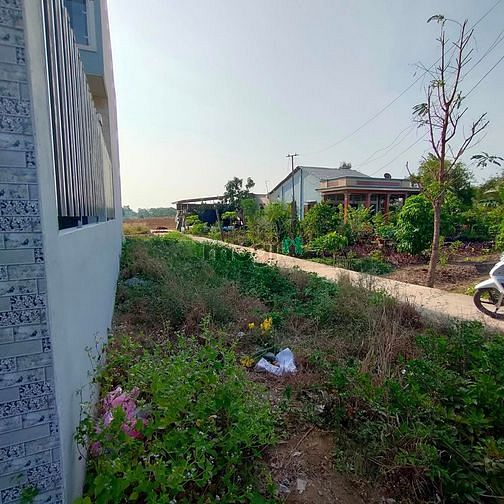 Hình ảnh Cần bán lô đất khu Gò Đen đường đan, gần cầu Bà Đắc 100m2 800tr