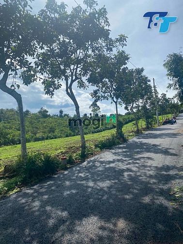 Hình ảnh Đất nền Thổ cư Lộc An Giá Ngộp