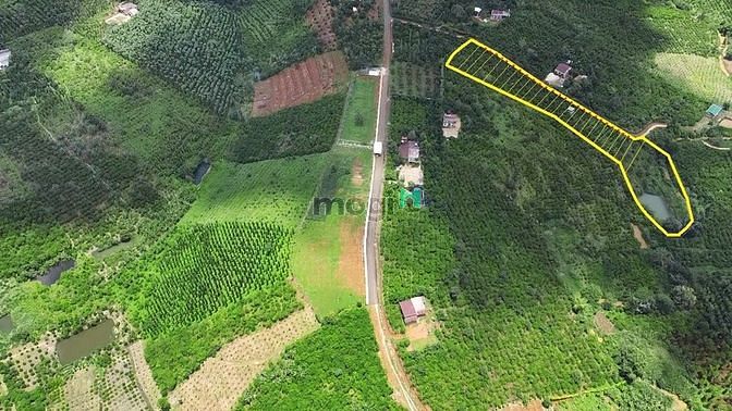 Hình ảnh Đất nền Thổ cư Lộc An Giá Ngộp